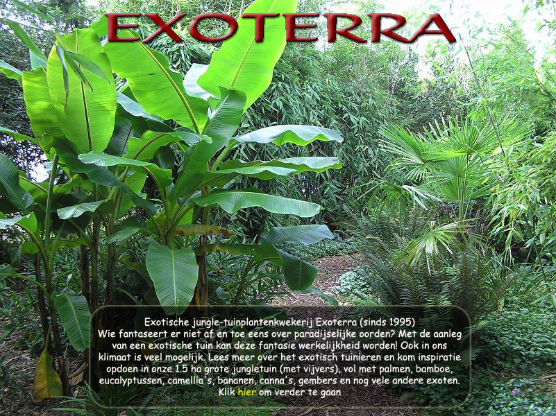 klik om naar de pagina van Kwekerij Exoterra Oldeberkoop te gaan!